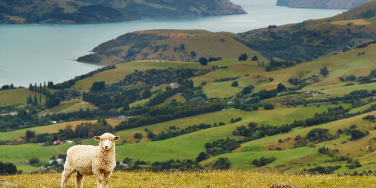 Comment faire de belles photos de la nature ?